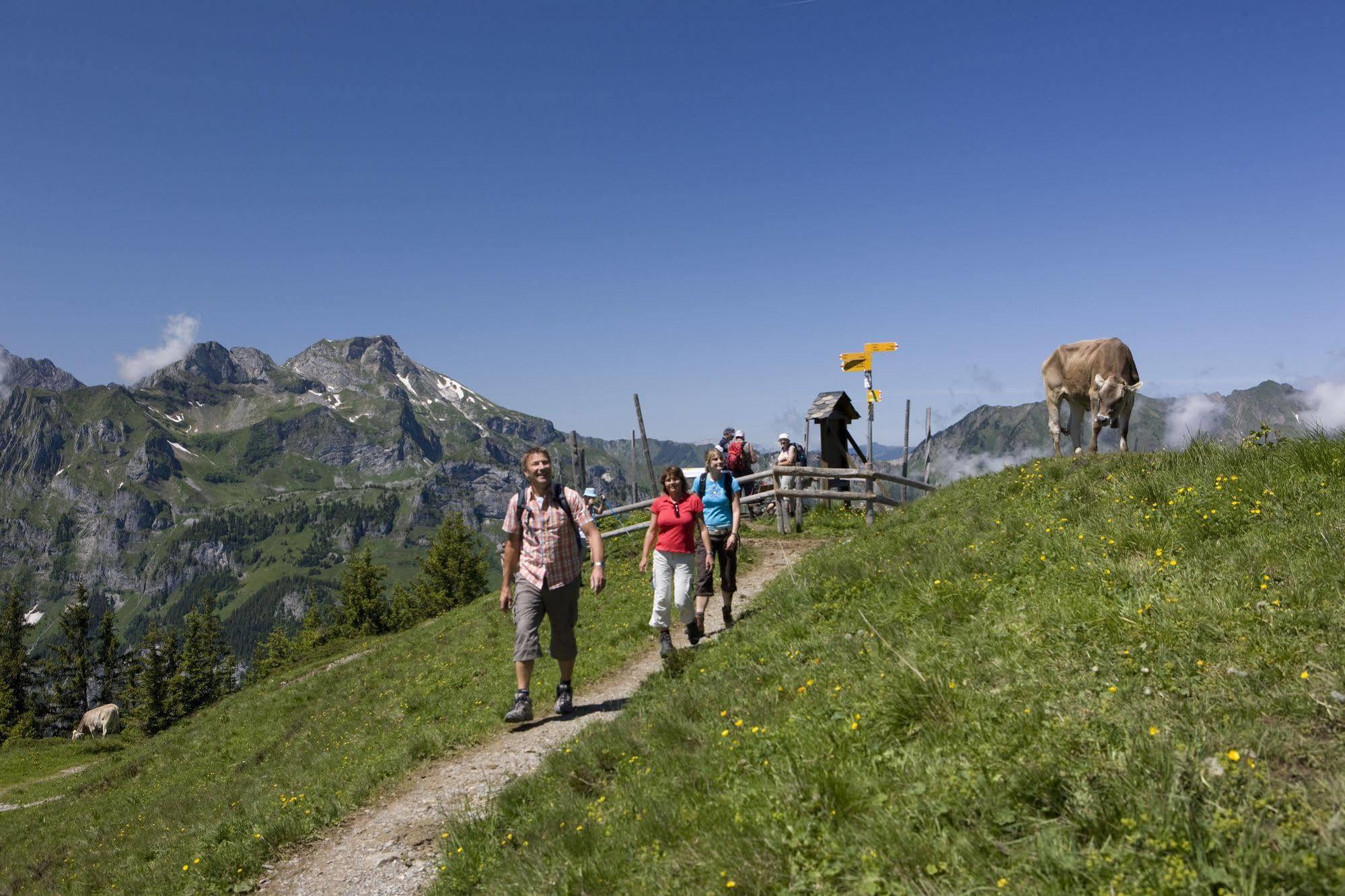 Berglodge Restaurant Ristis Engelberg Zewnętrze zdjęcie