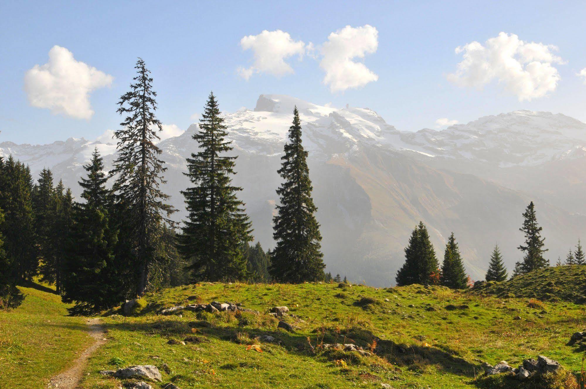 Berglodge Restaurant Ristis Engelberg Zewnętrze zdjęcie